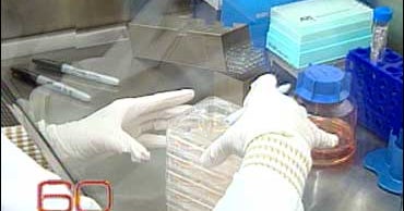 A Surplus Of Embryos - CBS News