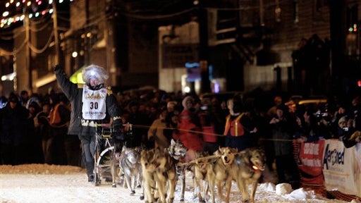 Iditarod King 