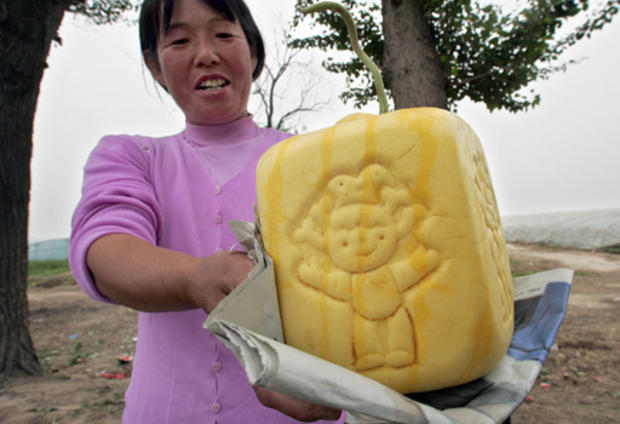 Melon Mascot 