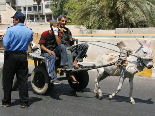 Two men ride a donkey and cart past a police checkpoint in central Baghdad, Iraq 