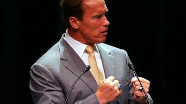 California Gov. Arnold Schwarzenegger speaks at a gathering of the California Commonwealth Club in San Francisco, Wednesday, July 19, 2006. 