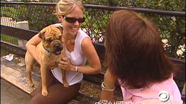 Pets, dogs-at-weddings 