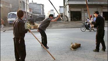 Officials club a dog to death on a street in Luoping county in southwest China's Yunnan province Saturday April 29, 2006. 