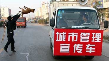 Dogs slaughtered in SW China, Saturday April 29, 2006. 