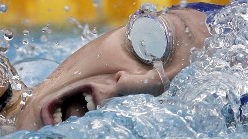 In the Swim 