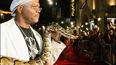 Samuel L. Jackson holds a snake on the red carpet at the premiere of "Snakes on a Plane" in Los Angeles on Thursday, Aug. 17, 2006. (Photo: AP Photo/Chris Polk) 