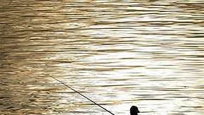 Go Fish 