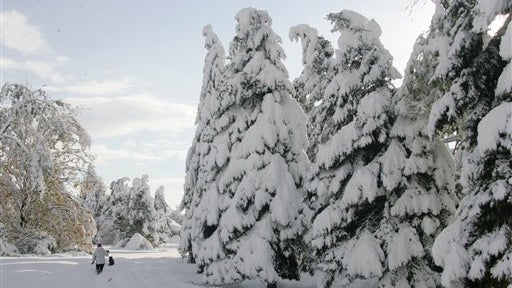 image2088064.jpg 
