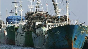 North Korean freighters - decks piled high with a cargo of used bicycles - prepare to head home from Sakaiminato, Japan, October 13, 2006, now that Japan is banning trade and closing its ports to North Korea. 