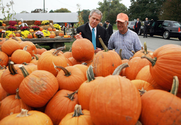 President In The Pumpkin Patch 