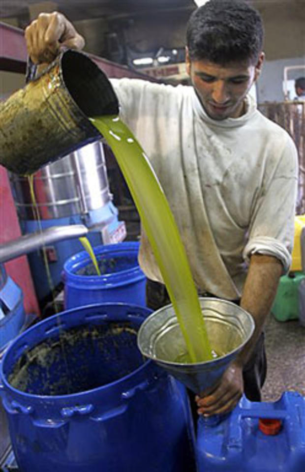 Olive Harvest Yields Nectar 