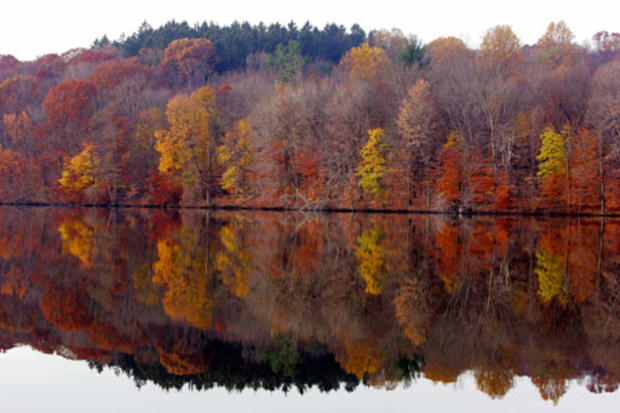 Reflecting Fall 