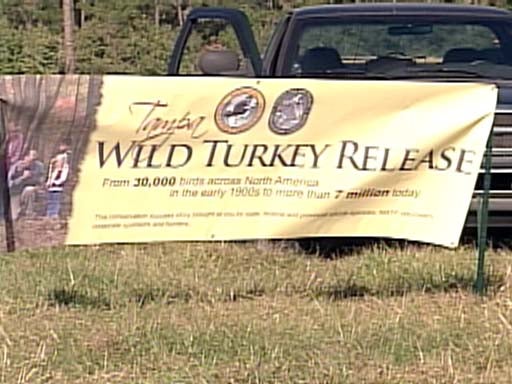 Steve Hartman Cries Fowl 