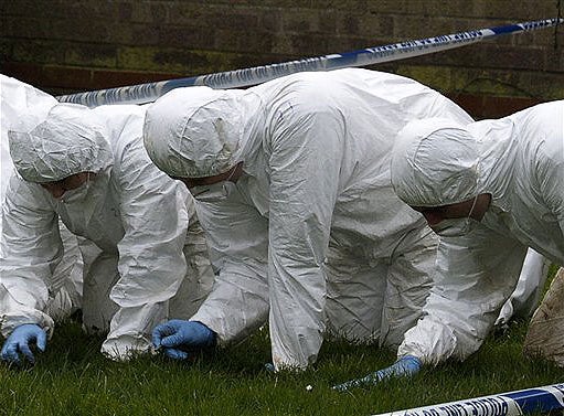 No Blade Of Grass Unturned 