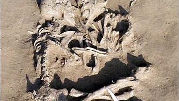 This photo provided by the Archaeological Society SAP in Mantua, northern Italy, on Wednesday, Feb, 7, 2007 shows a pair of human skeletons found Monday Feb. 6 at a construction site outside Mantua. 