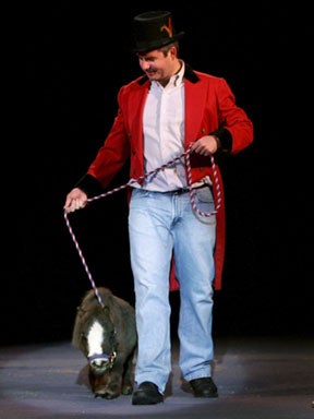 World's Smallest Horse 