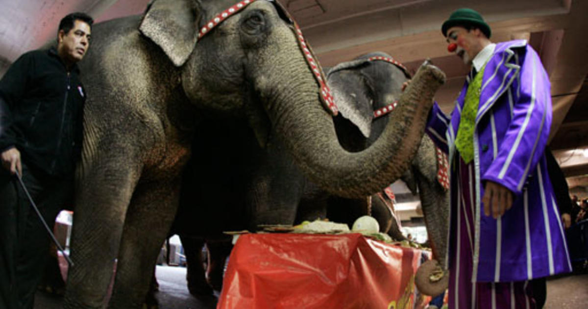 End of an era for Ringling Brothers circus elephants