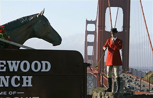 Seabiscuit By The Sea 