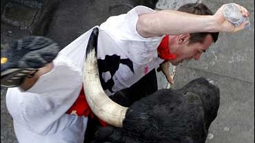 Running of the bulls, Pamplona, Spain, July 7, 2007 