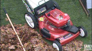 Everyday Environmental Advice 