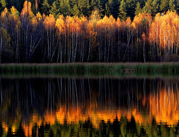 Lake Viacha, Belarus 