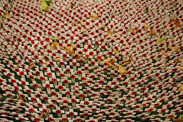 Field Of Remembrance 