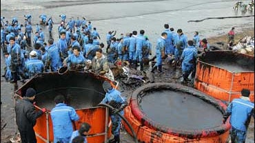South Korean volunteers clean up the beach covered with crude oil 