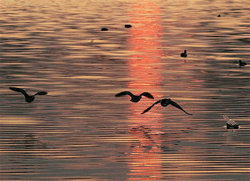 Skimming The Surface 