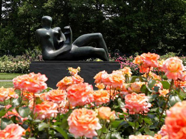 Peggy Rockefeller Rose Garden 