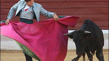 Child Bullfighter 