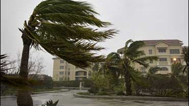 Hurricane Ike blows through the trees just after daybreak on the island of Providenciales, in the Turks & Caicos Islands 