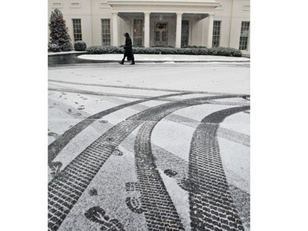 White House Snow 