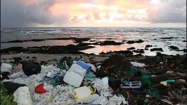 Beach Debris in Manilla, Philippines 