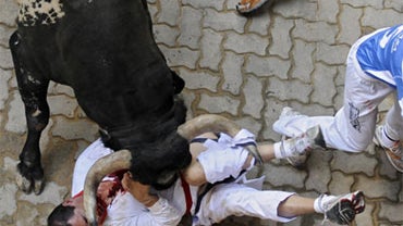 A reveler is gored by a Miura's ranch fighting bull, right, during the six day of the running of the bulls at the San Fermin Festival in Pamplona, northern Spain, Sunday, July 12, 2009. 