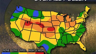 Pollen Accuweather Map -- Friday Aug. 28, 2009 