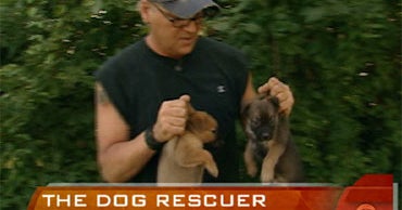 Dog Rescuer Gives Strays a Second Chance - CBS News