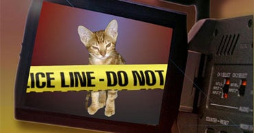 Ga. sisters arrested after police find 31 dying cats in hotel room ...