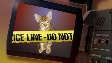 Man charged with animal cruelty for videotaping a kitten hanging from its neck by a belt 