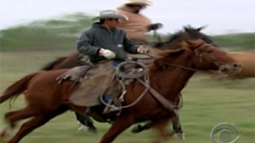 Cowboys work the King Ranch in south Texas. 