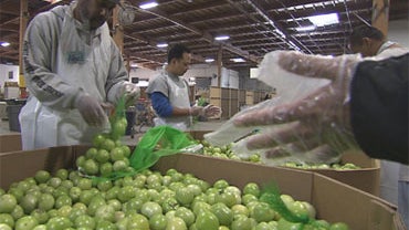 Feeding America helps distribute donated food to agencies across the United States. 