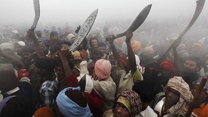 carousel, animal sacrifice 