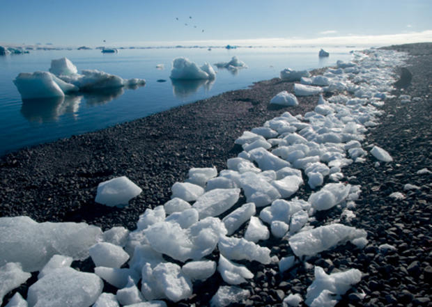 Paulet Island, Antarctica 