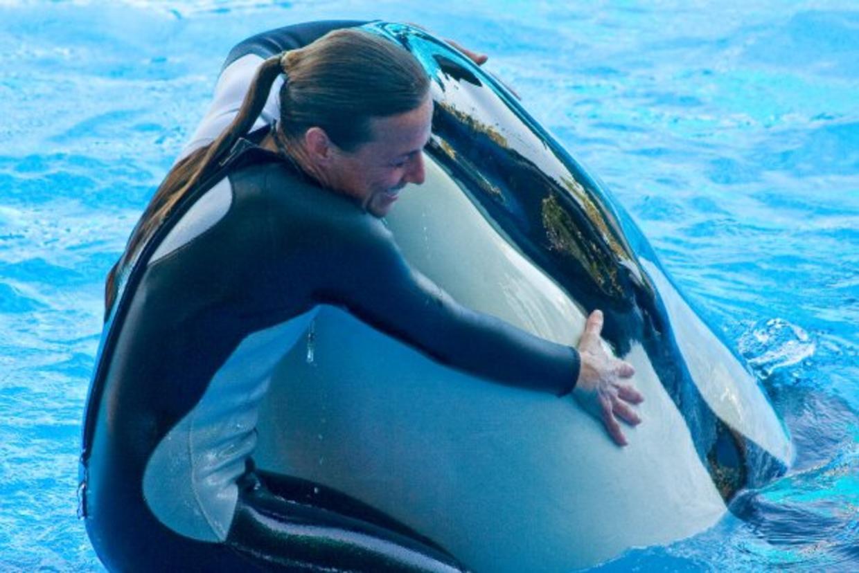 Dawn Brancheau SeaWorld Trainer Killed