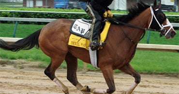 Filly to Run with Boys in Kentucky Derby CBS News