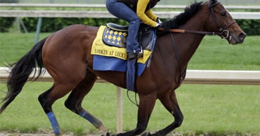 Lookin At Lucky Is Early Kentucky Derby Favorite CBS News
