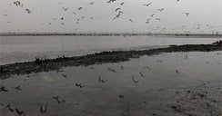 How Much Will BP Have to Pay for Oil Spill? CBS News