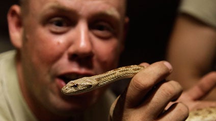 Afghan Deadly Neighbors 