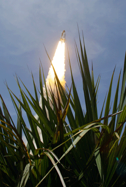 AP100514021904.gif 