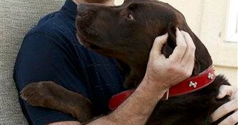 Bruce BeresfordRedman Update Arrest Warrant for Ex"Survivor