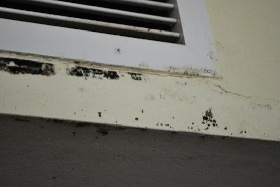 Top 10 Dirtiest Hotels in America